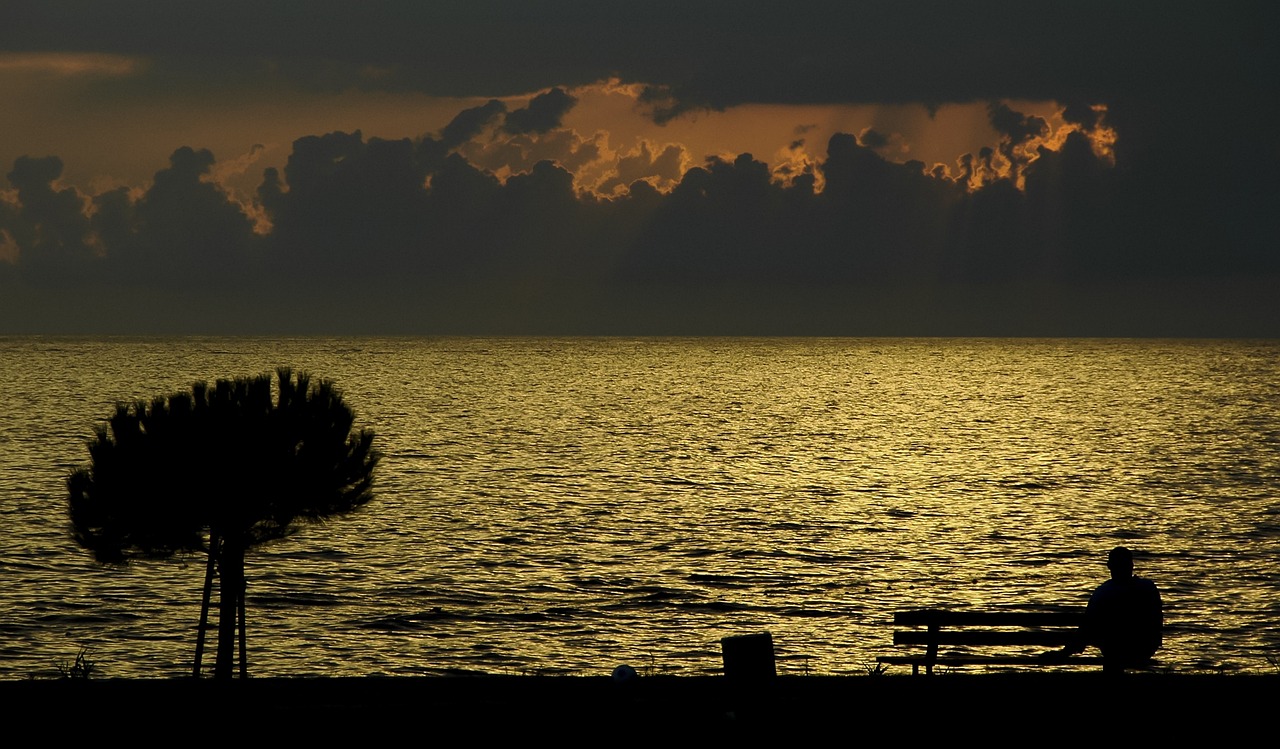 découvrez la plage secrète, un havre de paix idyllique où la nature préservée vous invite à la détente loin des foules.